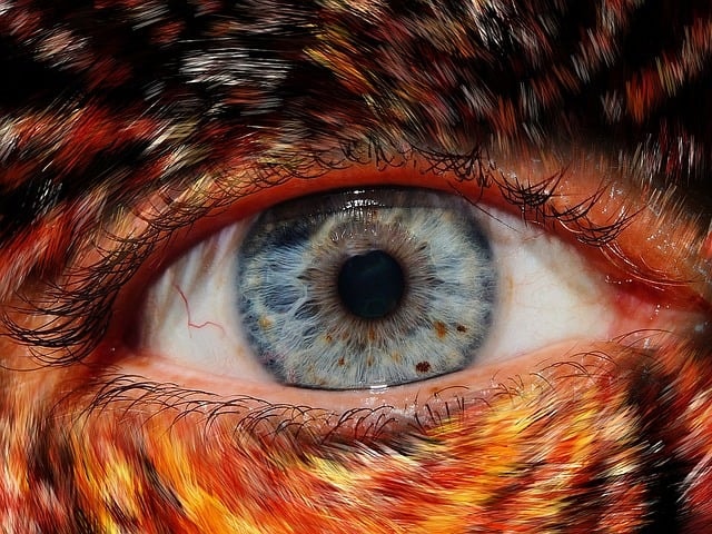 human, face, fur, animal fur, werewolf, gruesome, horror, eye, man, person, close up, eyelashes, blue, werewolf, werewolf, horror, horror, horror, horror, horror